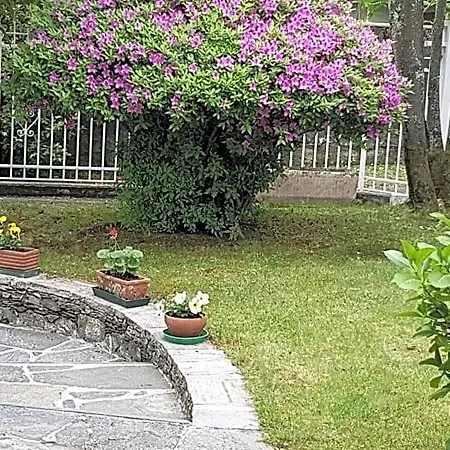 Gli Oleandri