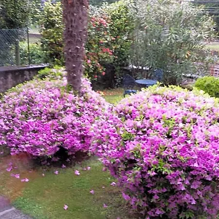 Gli Oleandri B&B 3*