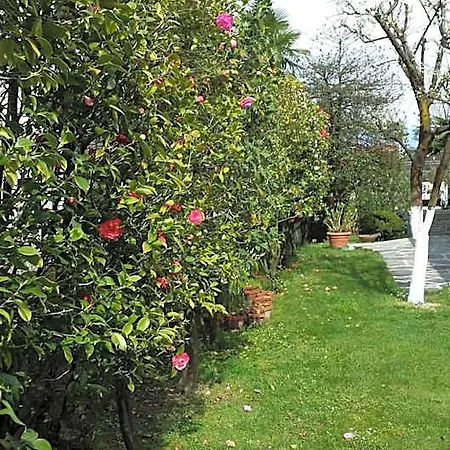 Gli Oleandri B&B