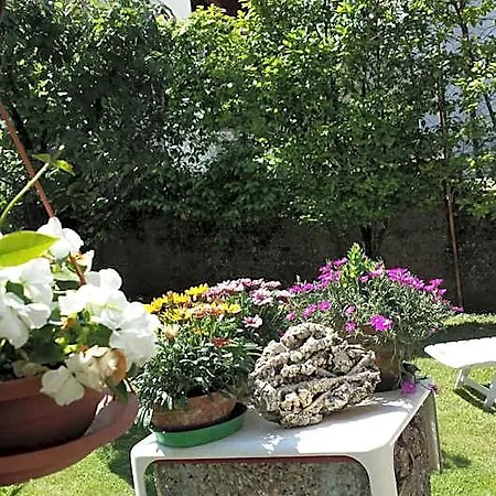 Gli Oleandri 3*