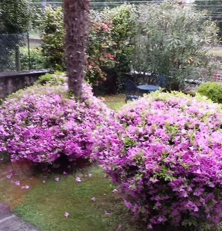 Bed & Breakfast Gli Oleandri