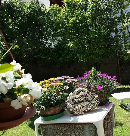 Gli Oleandri Stresa