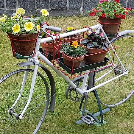 Oda ve Kahvaltı Gli Oleandri