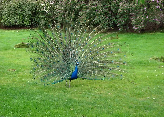 Gli Oleandri B&B 4*