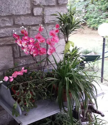 Gli Oleandri Стреза