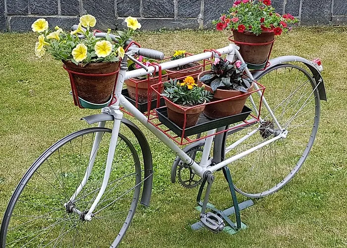 B&B Gli Oleandri